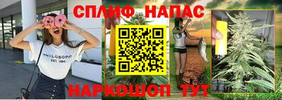 spice Дубна