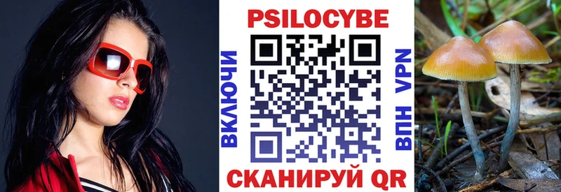 сколько стоит  Малоярославец  Галлюциногенные грибы Psilocybine cubensis 