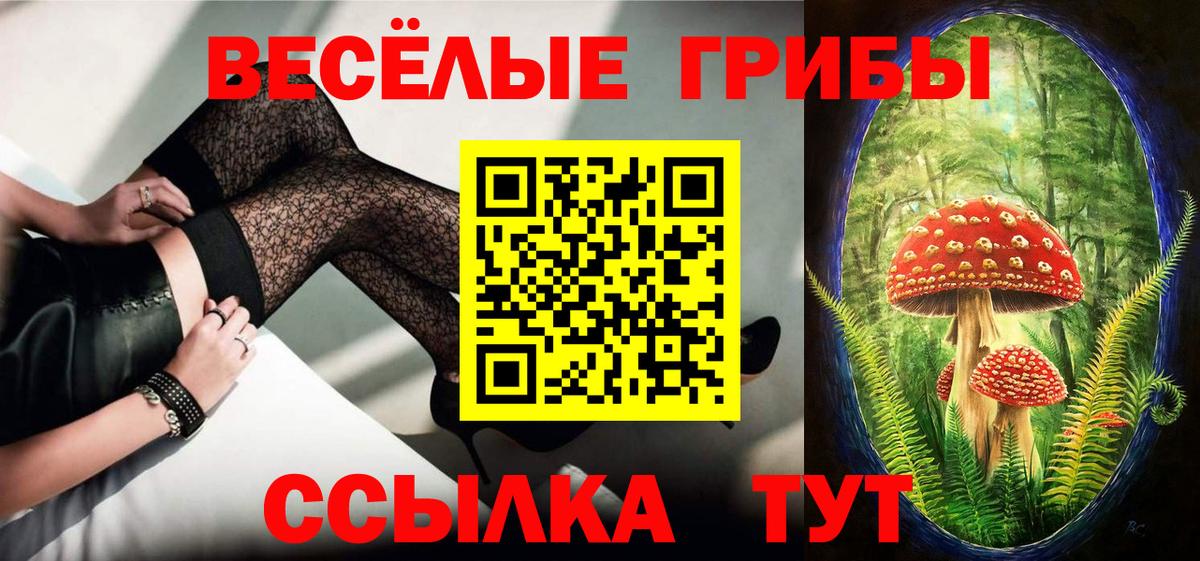 Малоярославец  Псилоцибиновые грибы GOLDEN TEACHER  Вход с VPN 
